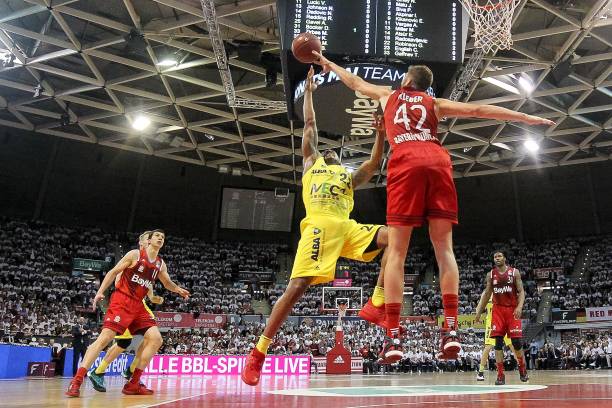 须在未来几 须在未来几